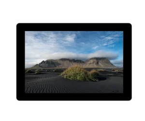 10.1 ” TFT-LCD Module